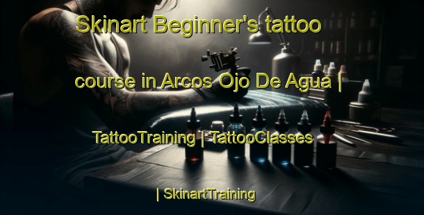 Skinart Beginner's tattoo course in Arcos Ojo De Agua | TattooTraining | TattooClasses | SkinartTraining-Mexico